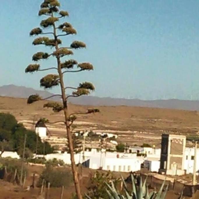 Fernan Perez Casa Rural El Jazminero מראה חיצוני תמונה